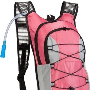 Amazon Pink and Gray Hydration Backpack
